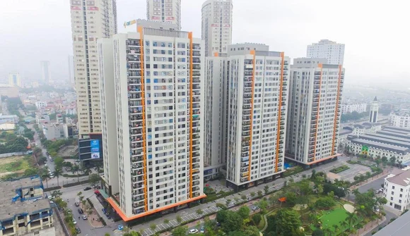 “Trùm môi giới” phía Bắc báo lãi tăng 2.000% trong năm thị trường bất động sản vượt khó thành công