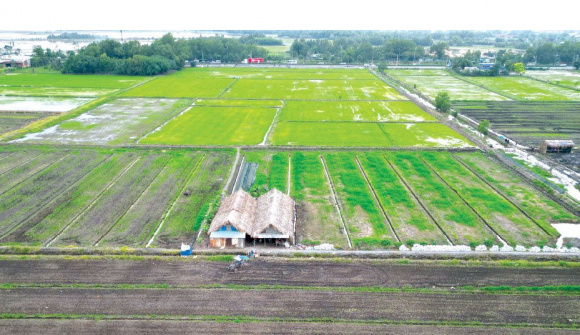 Cục Thuế yêu cầu các địa phương thực hiện miễn, giảm tiền sử dụng đất, tiền thuê đất