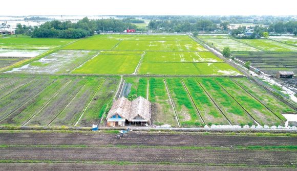 Cục Thuế yêu cầu các địa phương thực hiện miễn, giảm tiền sử dụng đất, tiền thuê đất