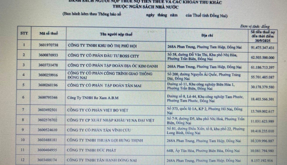 Đồng Nai công khai danh sách doanh nghiệp nợ thuế
