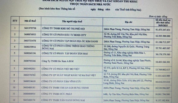 Đồng Nai công khai danh sách doanh nghiệp nợ thuế