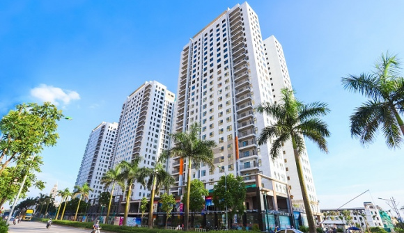 CEN LAND báo lãi tăng 103%, tiết lộ chi 643 tỷ đồng ôm loạt căn hộ và đất nền… chờ thời