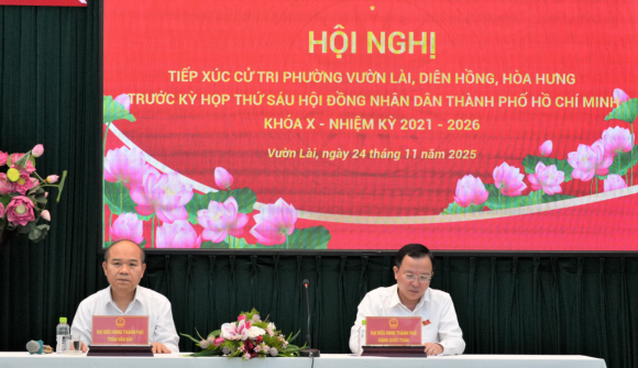 TP.Hồ Chí Minh ưu tiên quỹ đất công cho phát triển giáo dục, y tế và không gian công cộng