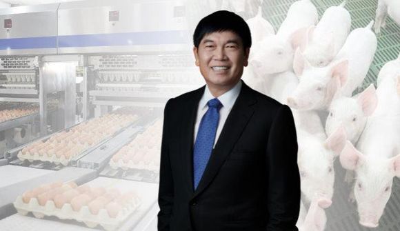 Hòa Phát lãi hơn 1.200 tỷ đồng nhờ “bắt tay” nuôi gà, nuôi heo