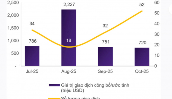 Thị trường M&A Việt Nam: Kỳ vọng bứt phá trong tương lai