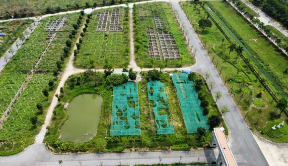 Loạt dự án nhà ở nghìn tỷ bỏ hoang hơn 15 năm ở Mê Linh sẽ được tiếp tục giao cho C.E.O Group và các chủ đầu tư xây dựng