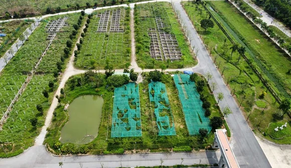 Loạt dự án nhà ở nghìn tỷ bỏ hoang hơn 15 năm ở Mê Linh sẽ được tiếp tục giao cho C.E.O Group và các chủ đầu tư xây dựng