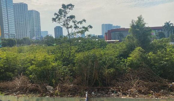 "Ông lớn” bảo hiểm ôm 3 lô “đất vàng” ở Hà Nội báo lãi đột biến, có gần 130.000 tỷ gửi ngân hàng