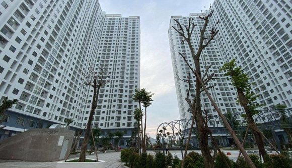 Chủ đầu tư phải hoàn trả phần chênh lệch cho người mua nhà ở xã hội nếu giá bán được kiểm toán thấp hơn