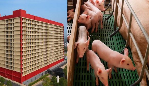 Hà Nội giao loạt Sở ngành nghiên cứu đề xuất xây khu chung cư cao tầng rộng 220ha nuôi lợn của BAF Việt Nam