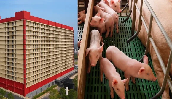 Hà Nội giao loạt Sở ngành nghiên cứu đề xuất xây khu chung cư cao tầng rộng 220ha nuôi lợn của BAF Việt Nam