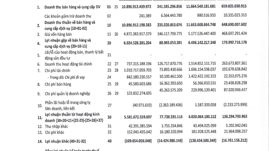 Sunshine Group lãi gần 5.900 tỷ đồng sau 6 tháng đầu năm 2026, tổng tài sản vượt 125.500 tỷ