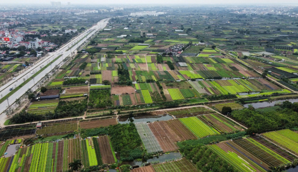 Hà Nội giao hơn 3,7ha đất tại Tây Tựu cho Đại An xây tổ hợp cao tầng
