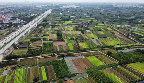 Hà Nội giao hơn 3,7ha đất tại Tây Tựu cho Đại An xây tổ hợp cao tầng