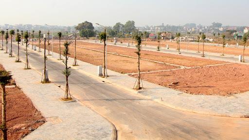 Tân Yên, Bắc Giang đấu giá 78 lô đất ở, giá khởi điểm từ 400 triệu đồng/lô