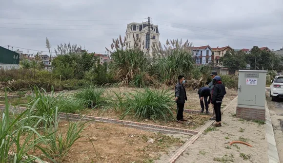 Đất Hoài Đức có nơi tăng vọt lên trên 160 triệu đồng/m2 khi đường Vành đai 4 khởi công
