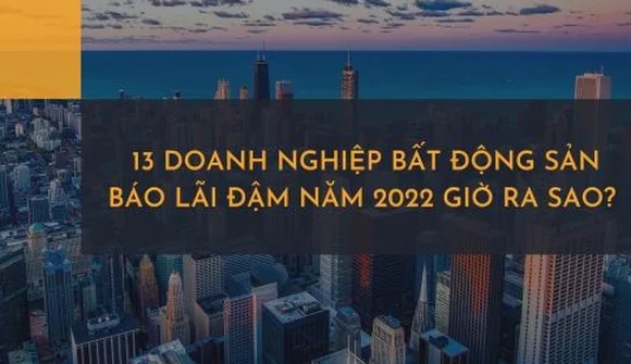 13 doanh nghiệp bất động sản báo lãi đậm năm 2022 giờ ra sao?