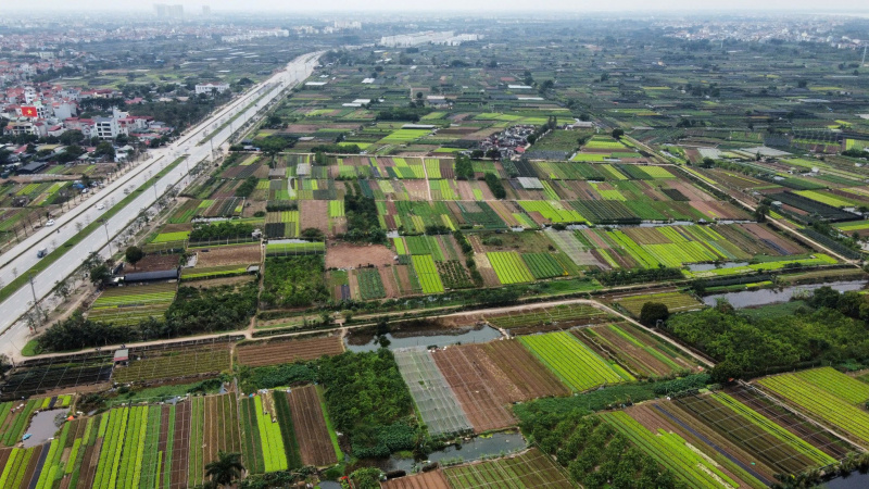 Hà Nội giao hơn 3,7ha đất tại Tây Tựu cho Đại An xây tổ hợp cao tầng