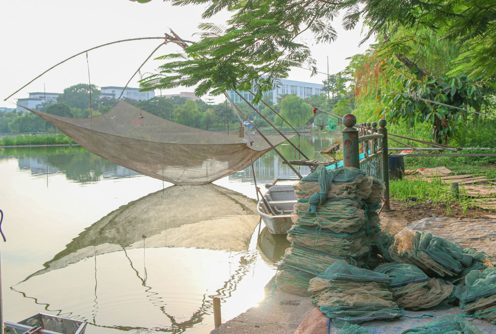 Công viên 16 ha ở Hà Nội bỏ hoang thành nơi trồng rau, đánh cá - Ảnh 8.